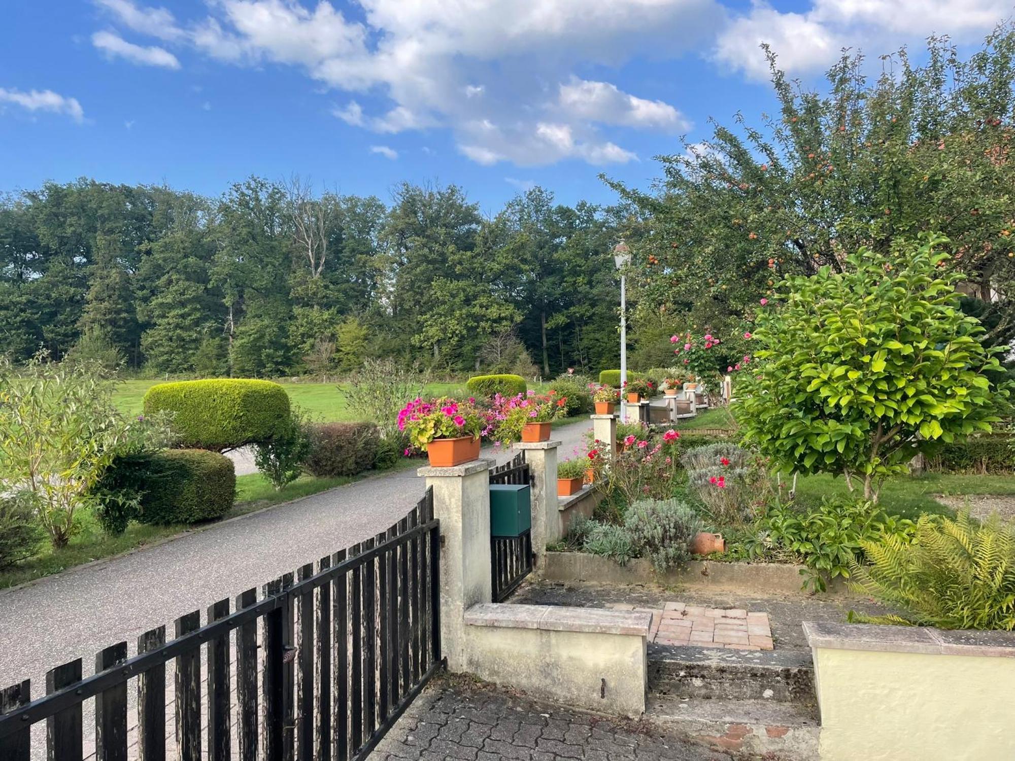 La Maison Des Roses Drachenbronn-Birlenbach Экстерьер фото